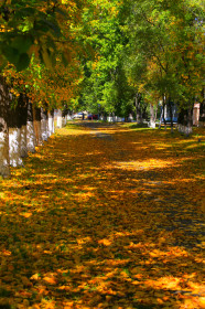 Солнечная осень.