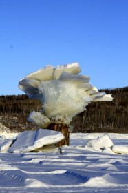 ледяной гриб