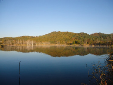 Благовещенский район.