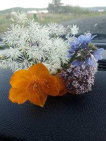 Село Соловьевск Тындинский район