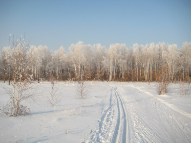 лыжня с. Ромны Ромненский район
