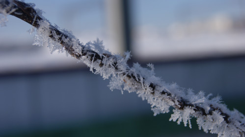 Первые заморозки в селе Тыгда Магдагачинского района