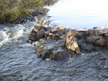 таёжный ручей,Шимановский р-н