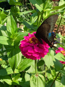 Красота в селе Ленинское, Архаринский район