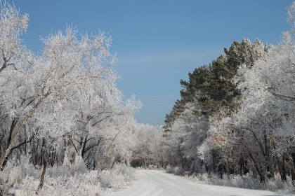 Зимняя дорога под Свободным