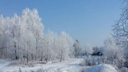 Малая Сазанка