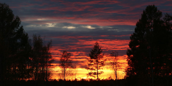 Осенний закат в Зейском районе