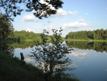 Летний пейзаж в Свободненском районе