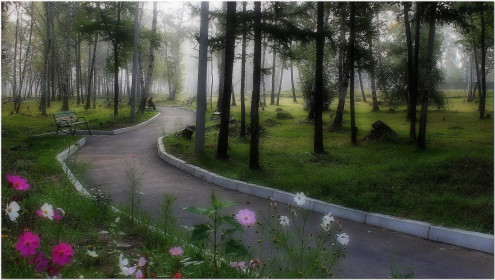 Утро в Свободном