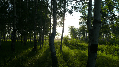 Просветы солнца в Магдагачинском районе