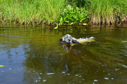 На озере в Красной Пади Магдагачинского района.