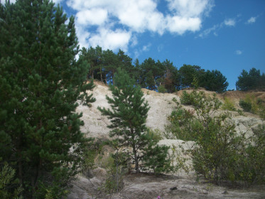 Белые скалы у Зеи