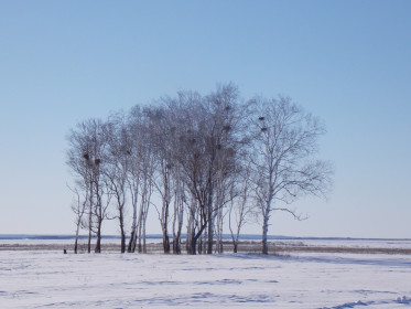 Трасса Благовещенск-Белогорск