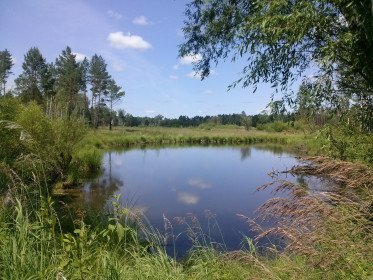 Озеро между Юхтой и селом Нижние Бузули