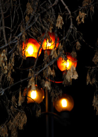 В парке, Благовещенск