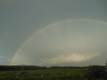 после дождя, село Белогорка Серышевского района