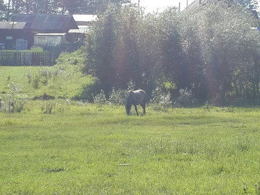 Село Уркан, Тындинский район.
