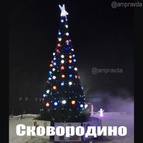 Амурские елки