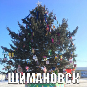 Амурские елки