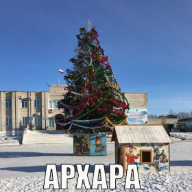 Амурские елки