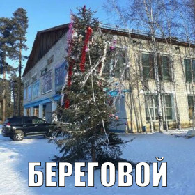 Амурские елки