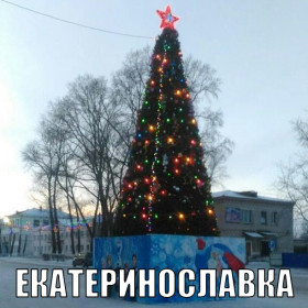 Амурские елки