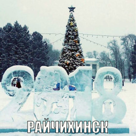 Амурские елки