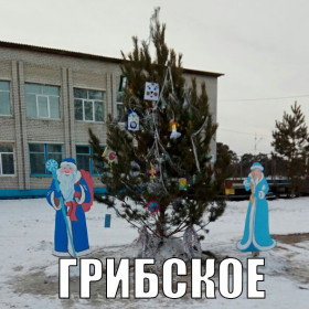 Амурские елки