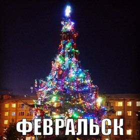 Амурские елки