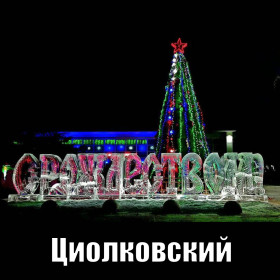 Амурские елки