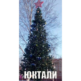 Амурские елки