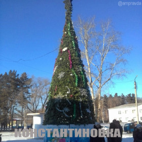 Амурские елки