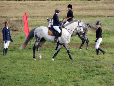 Амурский ипподром, 2017 г.