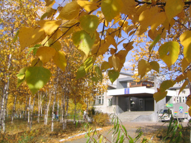 7 школа в Тынде