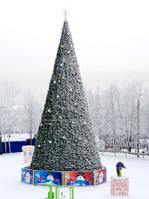 Новогодняя елка. Тында