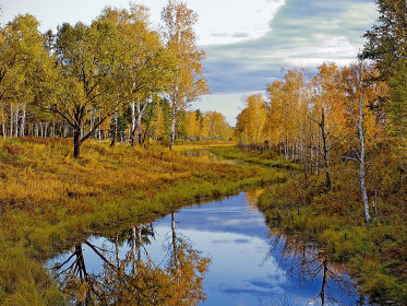 Сороковерстка
