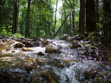 Таёжный ключ