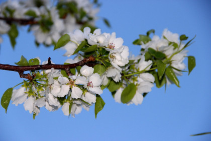 Природа оживает после зимы...