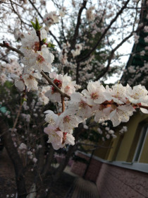 Хмурая красота