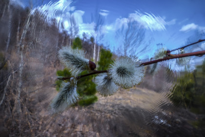 Достучаться до лета