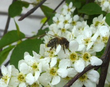 Жизнь кипит...