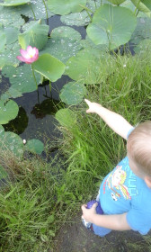 Гордость и чудо нашей Малой Родины