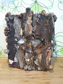 Я есть Грут. Амурский