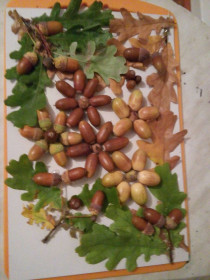 Картина из желудей