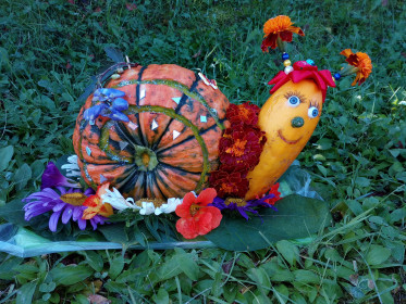 Улитка Августина