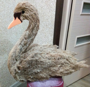 Царская птица