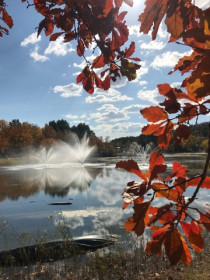 Прекрасные виды "Мухинки"