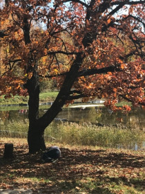 Отдых лишним не бывает