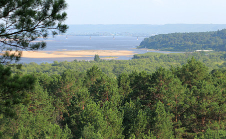 Мухинка с высоты