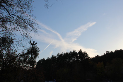 Птица счастья над Мухинкой